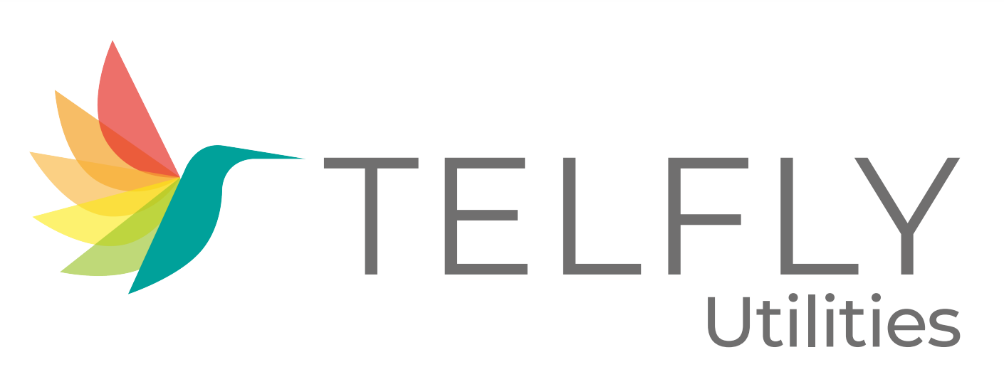 https://www.rgticino.it/wp-content/uploads/2023/09/Logo-Telfly.png
